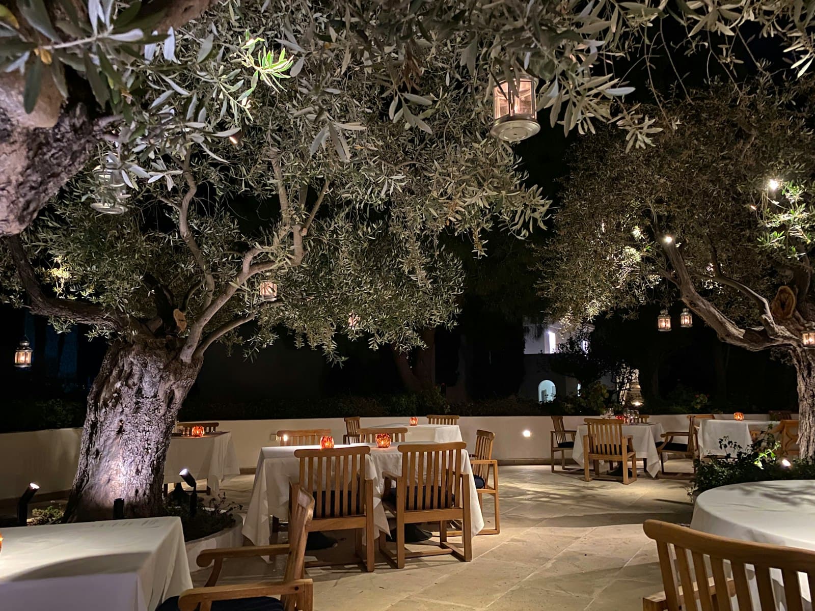 A candlelit table beneath olive trees